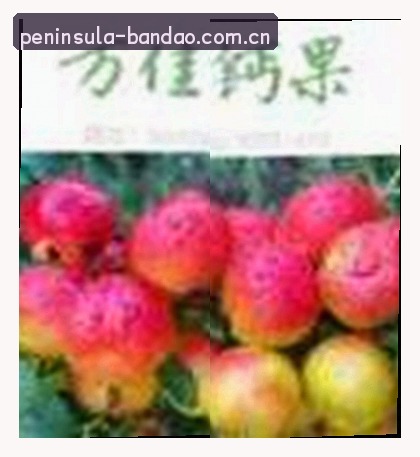 陈静